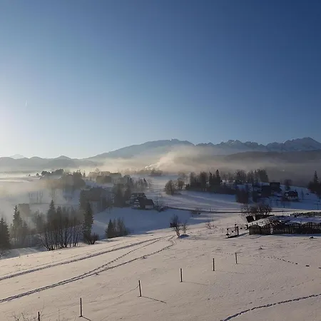 도로타 자코파네