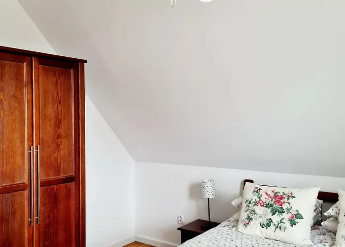 도로타 * 자코파네