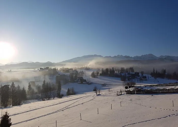 도로타 자코파네