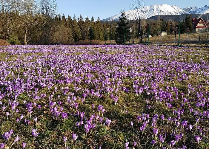 Lägenhet Dorota Zakopane